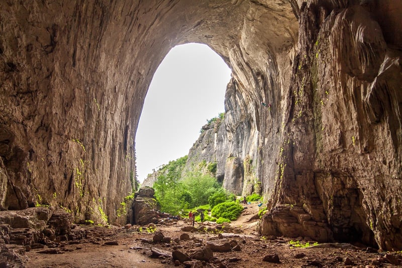 Cave Expedition