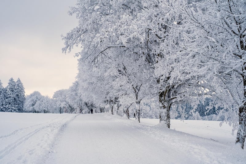 Polar Landscape